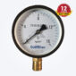 Đồng hồ đo áp P16-D100 (Đài Loan)