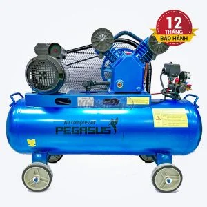 Máy nén khí dây đai Pegasus TM-V-0.17/8-120L