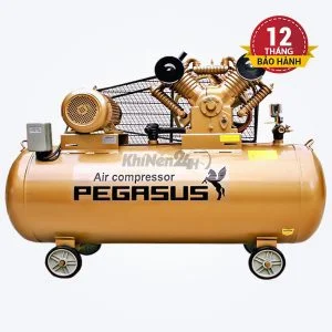 Máy nén khí dây đai Pegasus TM-V-1.05/12.5-330L