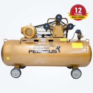 Máy nén khí dây đai Pegasus TM-W-0.36/12.5-180L (220V)