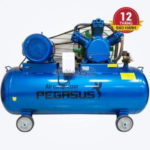 Máy nén khí dây đai Pegasus TM-W-0.67/8-330L