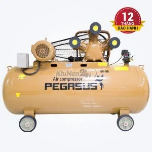 Máy nén khí dây đai Pegasus TM-W-2.0/8-500L