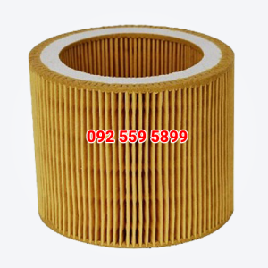 Lọc khí máy nén khí Atlas Copco 1613900100