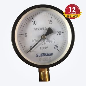 Đồng hồ đo áp P25-D100 (Đài Loan)