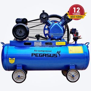 Máy nén khí dây đai Pegasus TM-V-0.17/8-180L