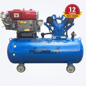 Máy nén khí đầu nổ chạy bằng xăng Pegasus TM-V-0.25/8-100L