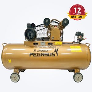 Máy nén khí dây đai Pegasus TM-V-0.25/8-180L