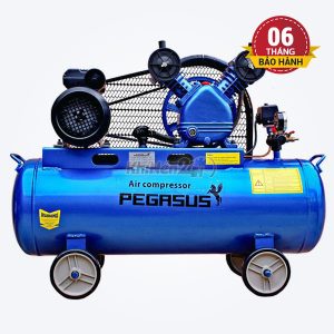 Máy nén khí dây đai Pegasus TM-V-0.25/8-70L