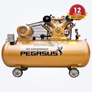 Máy nén khí dây đai Pegasus TM-V-1.05/12.5-330L