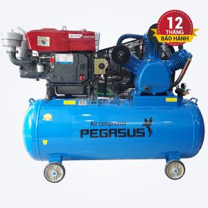 Máy nén khí đầu nổ chạy bằng dầu Diesel Pegasus TM-W-2.0/12.5-500L
