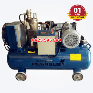 Máy nén khí trục vít Pegasus TMTV-7.5A (5.5kW - 7.5HP)
